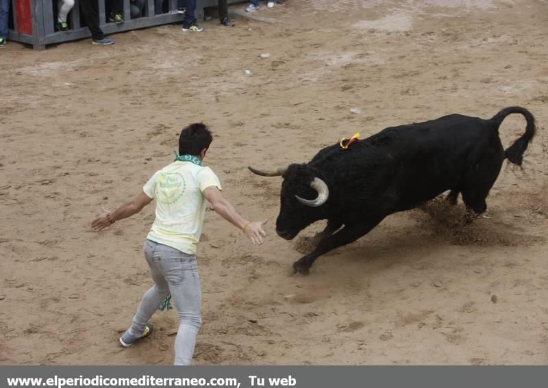 Bou per la vila en Vila-real