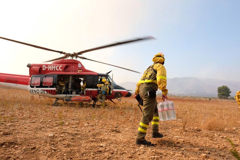 Declarado un incendio en una zona de barranco de Beneixama