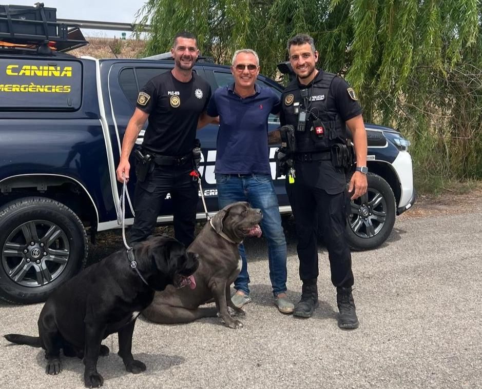 La Policía Local de Cullera ha devuelto los dos perros a su propietario.
