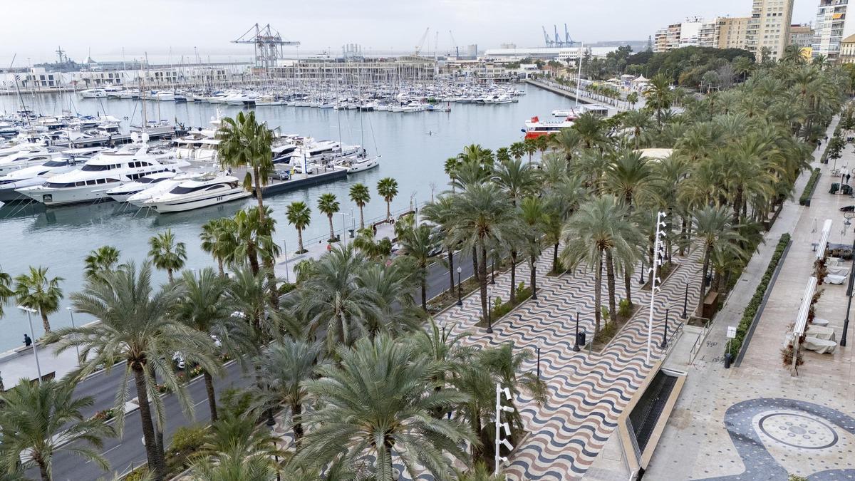 Vídeo | Así es el paseo de la Explanada de Alicante en "La calle es nuestra"