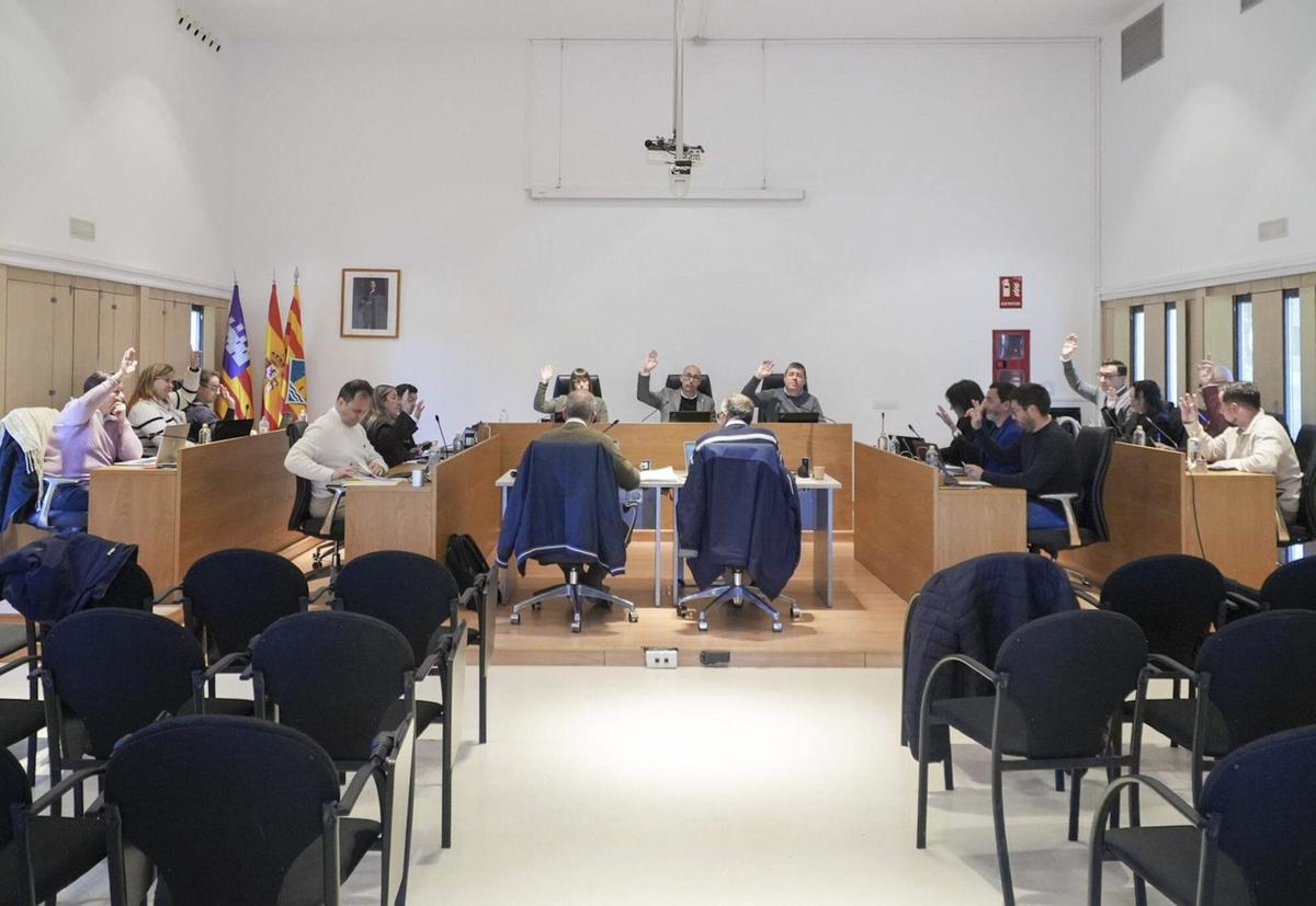 El pleno ordinario del mes de marzo del Consell de Formentera durante una de las votaciones. | CIF
