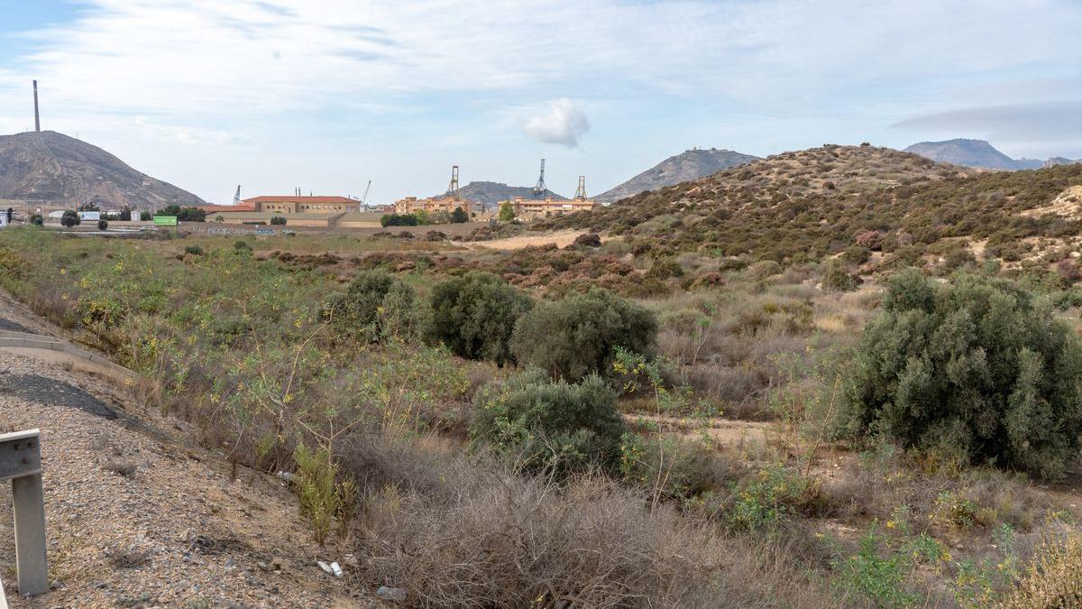 Terrenos cedidos por el Consistorio, donde se levantará la futura Ciudad de la Justicia de Cartagena.