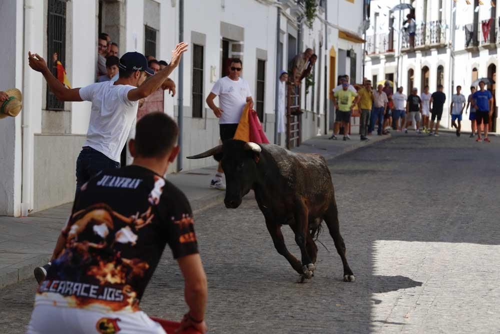 Encierros de Villanueva del Duque