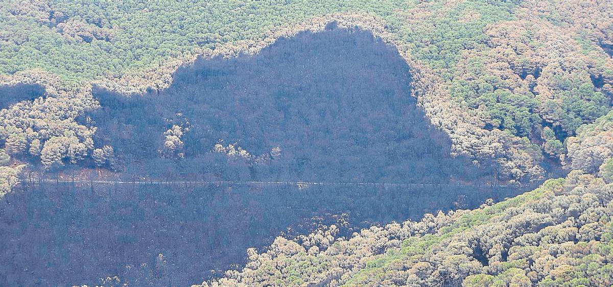 Vista del paraje de Peñas Blancas después del paso del fuego.