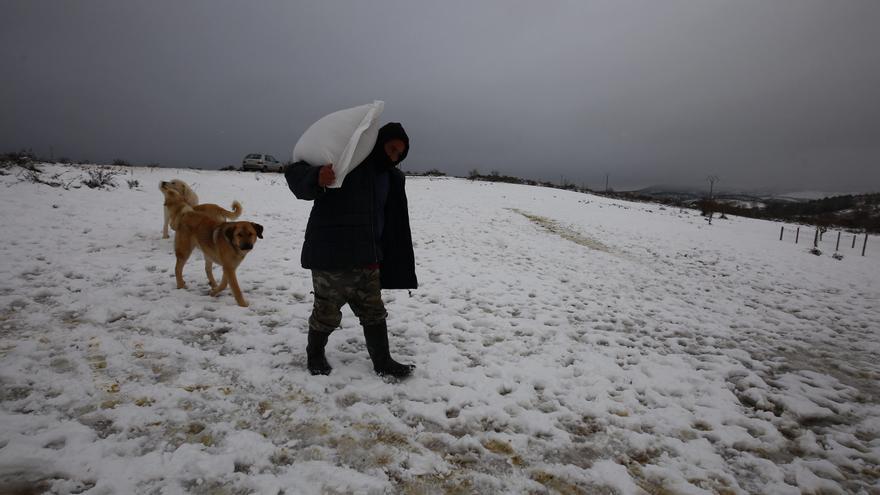 Tres provincias de Castilla y León, en aviso amarillo por nevadas