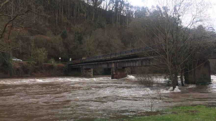 El río Narcea, este mediodía a su paso por Quinzanas (Pravia)