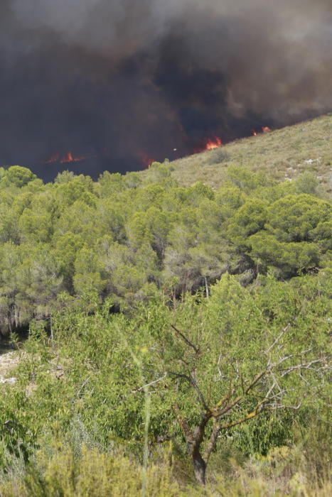 Incendio forestal en Llutxent