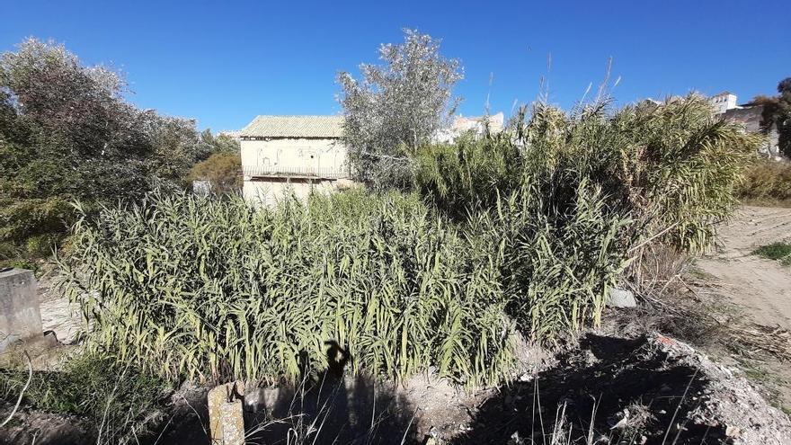 Zona del río en la que intervendrá el Ayuntamiento.