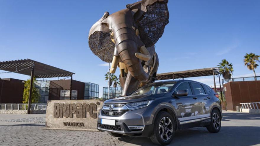 Honda Centerauto y Bioparc, un binomio de éxito.