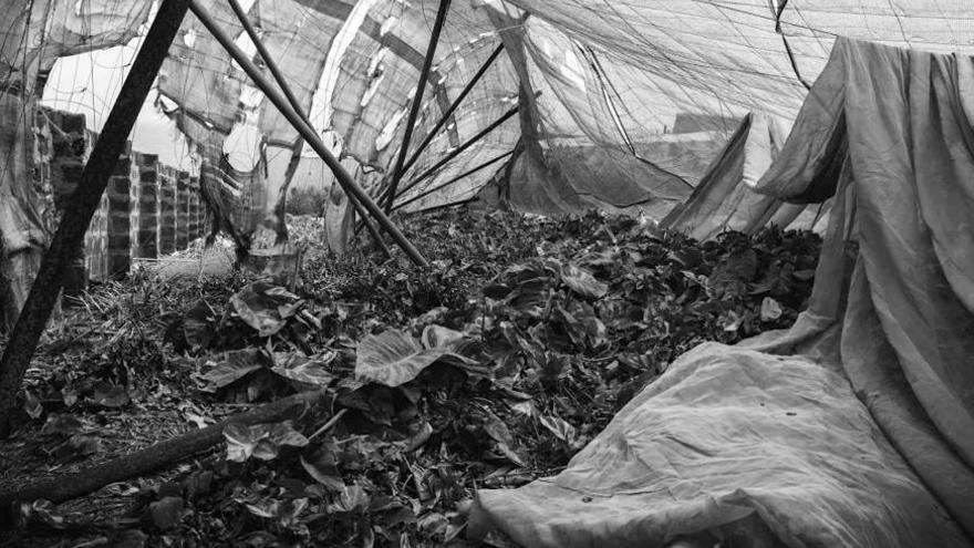 &#039;Sueños Perdidos&#039; , la imagen ganadora del certamen.