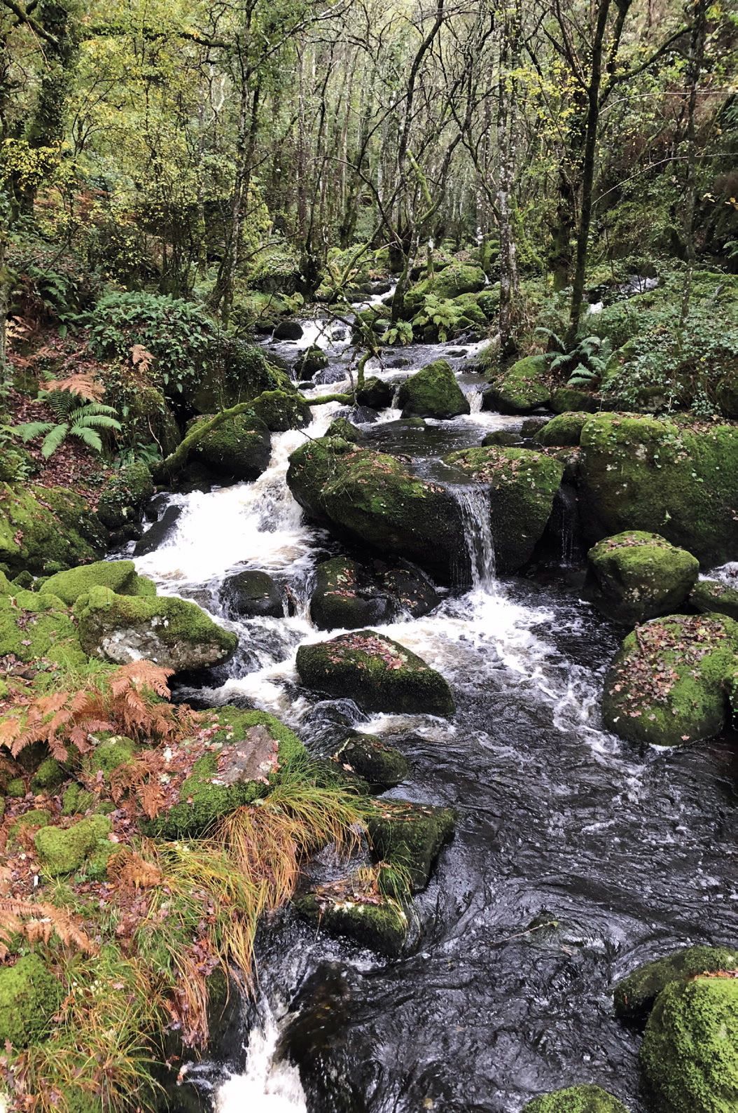 Fervenzas: cascadas del Fírbeda