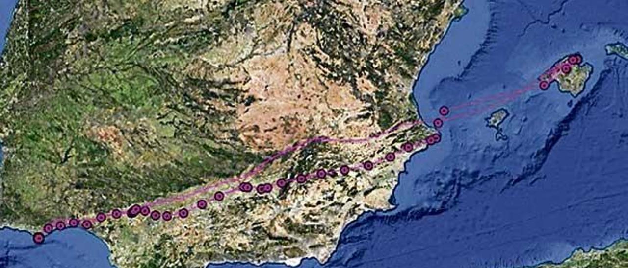 Mapa que muestra el trayecto seguido por Amàlia.