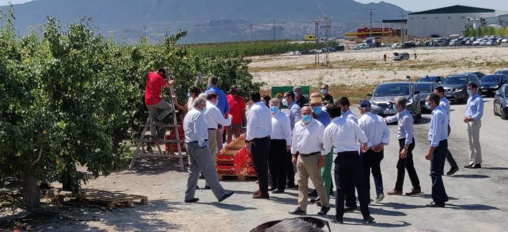 Visita de los reyes a la cooperativa La Carrichosa de Cieza