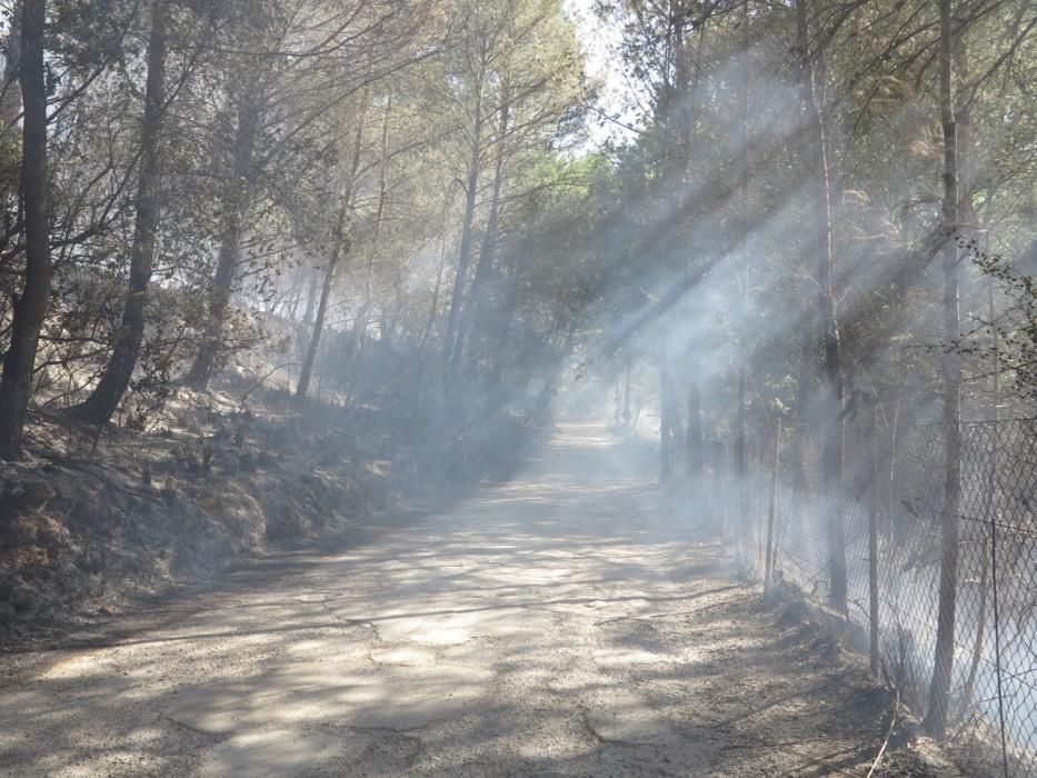 Waldbrand bei Puigpunyent