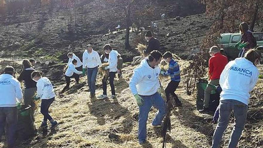 Medio Rural amplía en un 70% las ayudas para limpiar montes ante la avalancha de peticiones recibidas