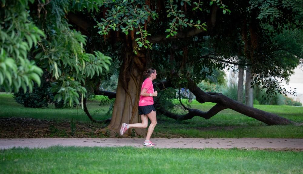 Actividades en el jardín del Túria, el antiguo cauce del río en València.