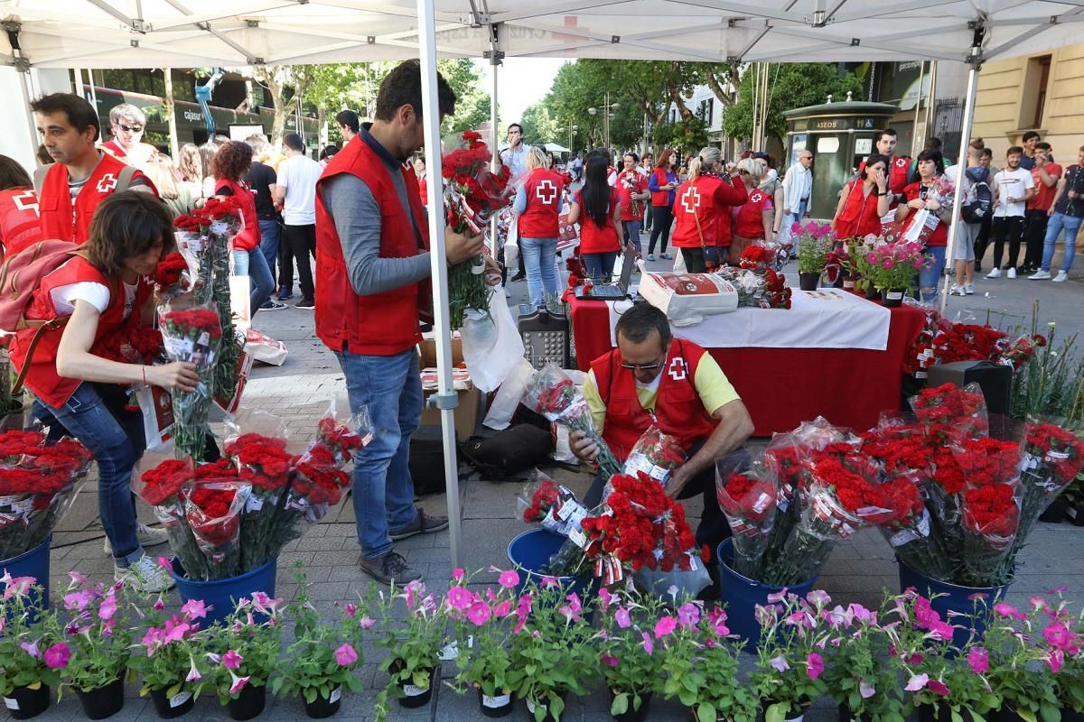 Cruz Roja reparte claveles por la igualdad