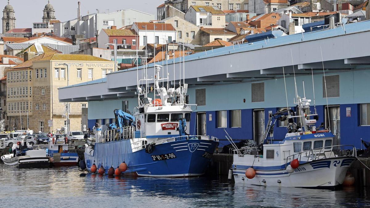 Barcos atracados en el puerto pesquero de O Berbés, en Vigo.