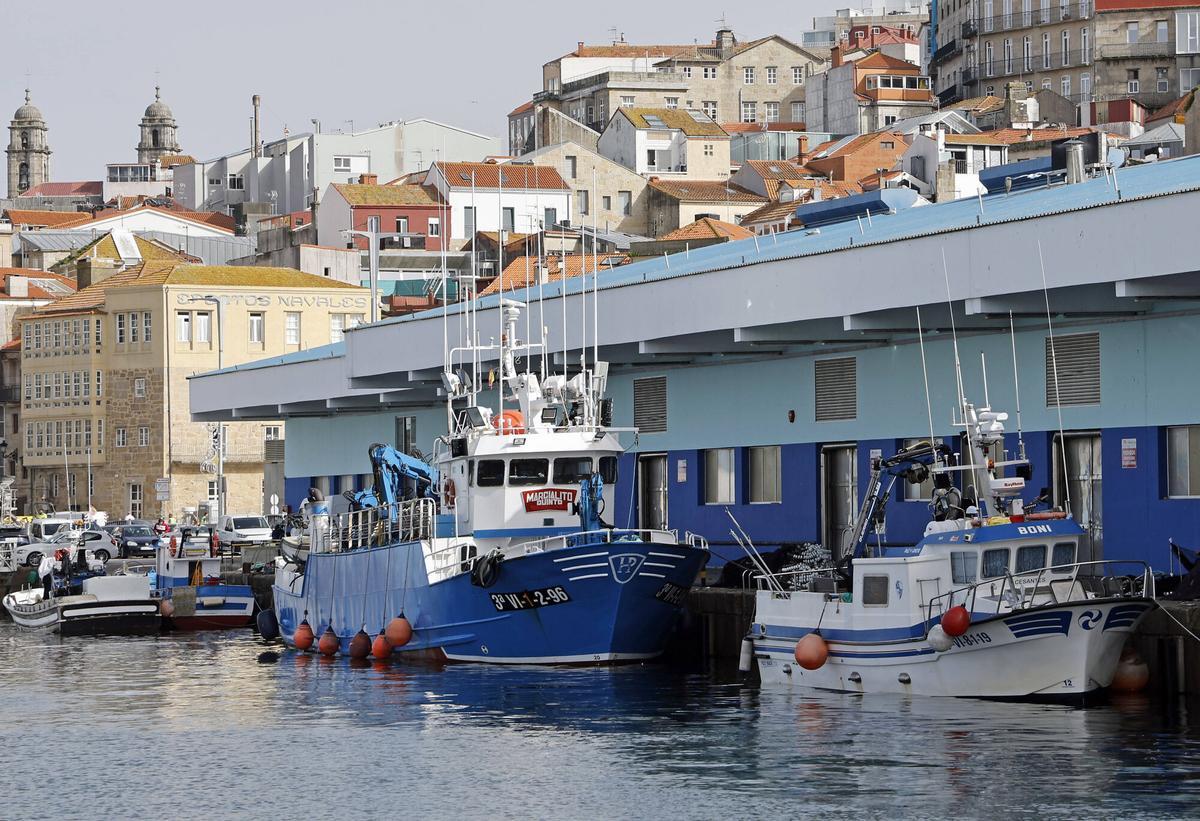 Pesqueros atracados en el puerto de O Berbés, en Vigo.