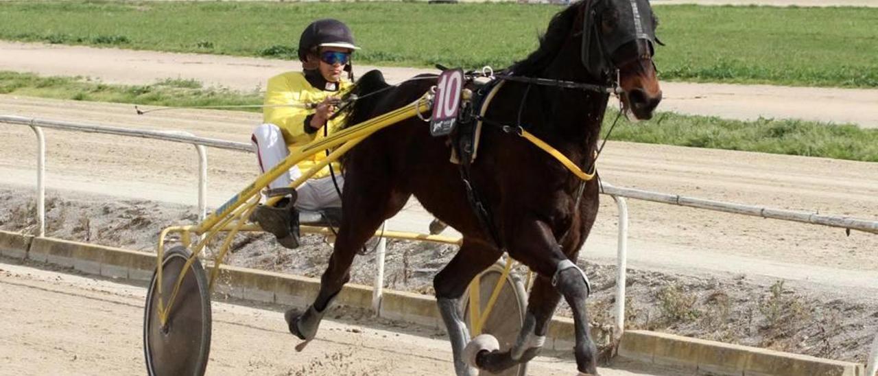 Aldebarán G, con Miquel Jaume Barceló, en uno de sus triunfos en Manacor.