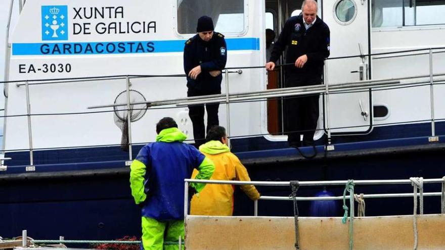 Vieira decomisada por Gardacostas y Guardia Civil. // Iñaki Abella