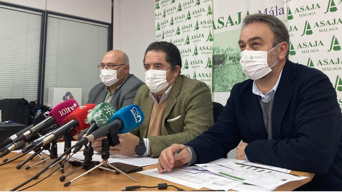 Baldomero Bellido, presidente de ASAJA Málaga, junto a Benjamín Faulí y Santiago Sánchez, técnicos de ASAJA Málaga.