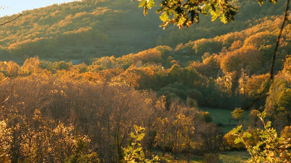 El Valle de Ambroz es uno de los paisajes naturales menos conocidos de la Península.