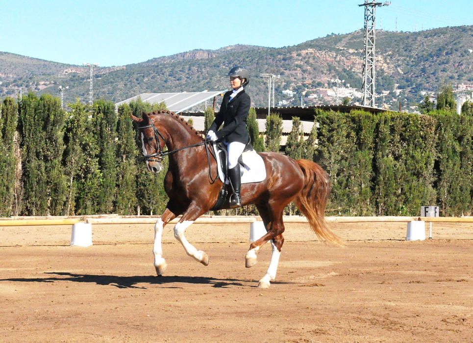 Marta Esteve, amazona de Puçol que ha ganado diversos campeonatos autonómicos.