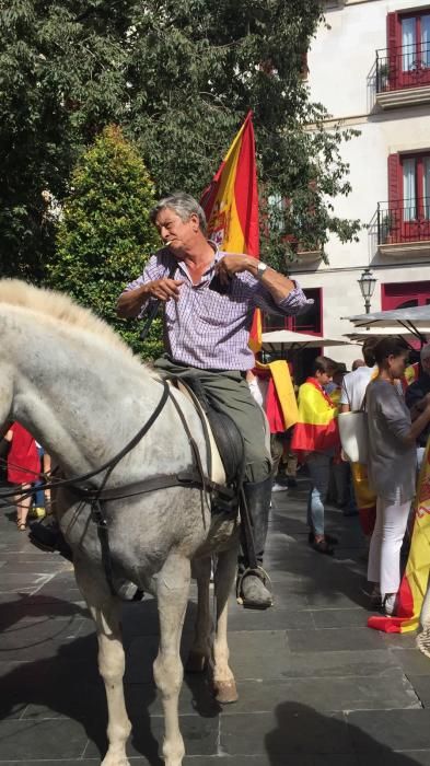 Für Spaniens Einheit: Demo gegen Katalonien-Referendum