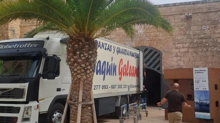 El Museu Marítim de Mallorca inicia el montaje en Ses Voltes para reabrir en septiembre