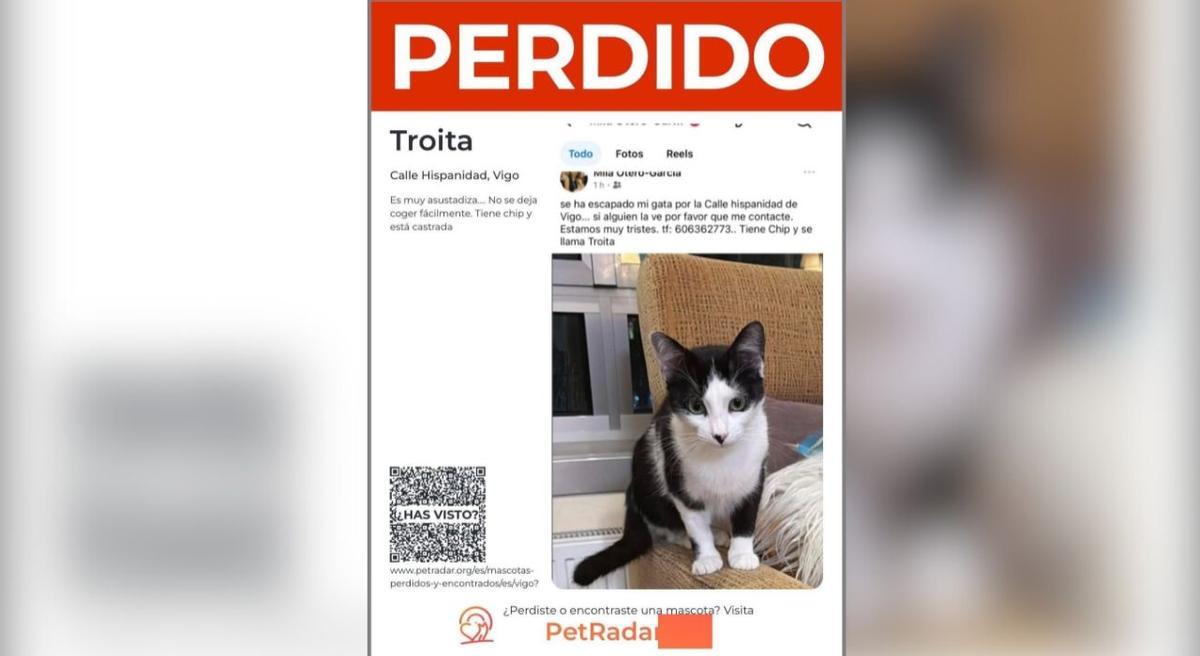 El gato Troita es una de las mascotas que actualmente aparece en la app PetRadar como perdida.