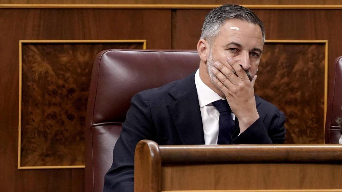 los socios de Sánchez recetan medidas para frenar a la ultraderecha