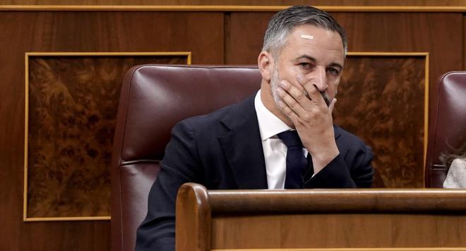 Manual de resistencia ante Vox: los socios de Sánchez recetan medidas para frenar a la ultraderecha
