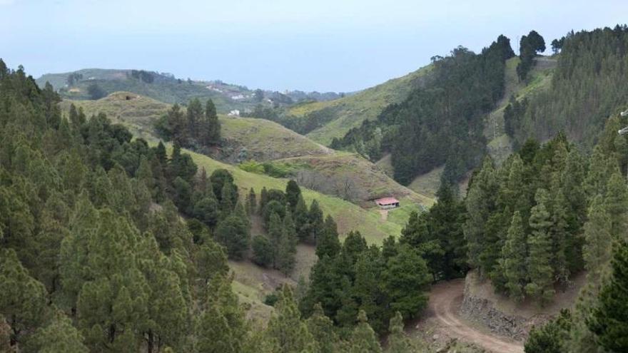 &quot;Sabores con Estrella&quot; un nuevo proyecto para  apoyar  al sector agroalimentario del municipio