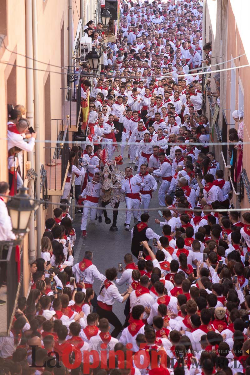 Caballos del Vino en la cuesta de la Simona