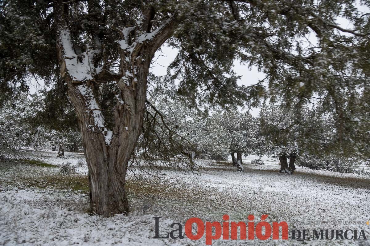 Nieve en el Noroeste