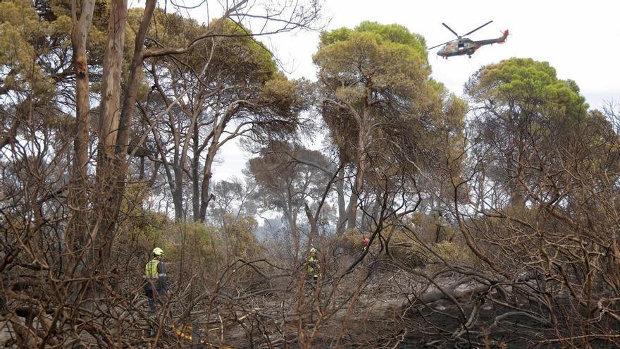 La oposición aprieta por el incendio del Saler: exige la dimisión de Gosálbez y una comisión de investigación