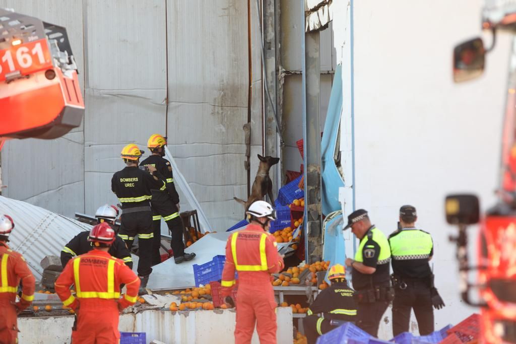 El derrumbe de parte de la nave de Fontestad en la Pobla de Farnals deja una persona desaparecida