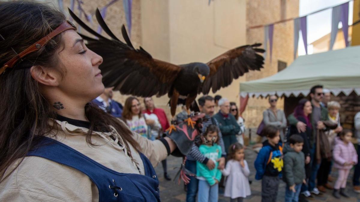 Entre las numerosas propuestas de la feria medieval se incluyen las exhibiciones de aves exóticas.