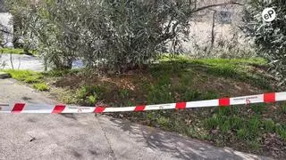 Los estragos de la borrasca Oriana en Zaragoza: caídas de árboles, parques cerrados y vigilancia del Ebro y del Gállego