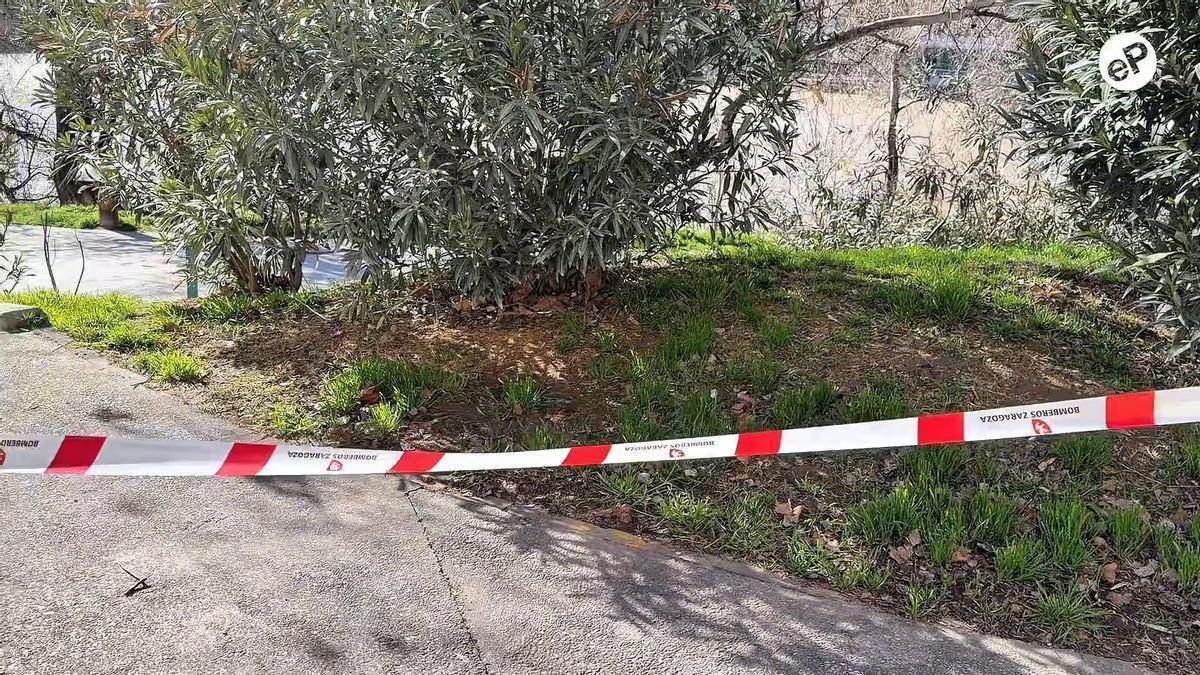 Los efectos de la borrasca Oriana en Zaragoza