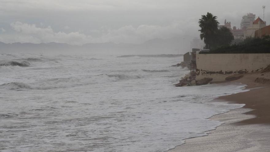 El temporal se traga la playa de la Goleta de Tavernes y derriba varios árboles en Gandia