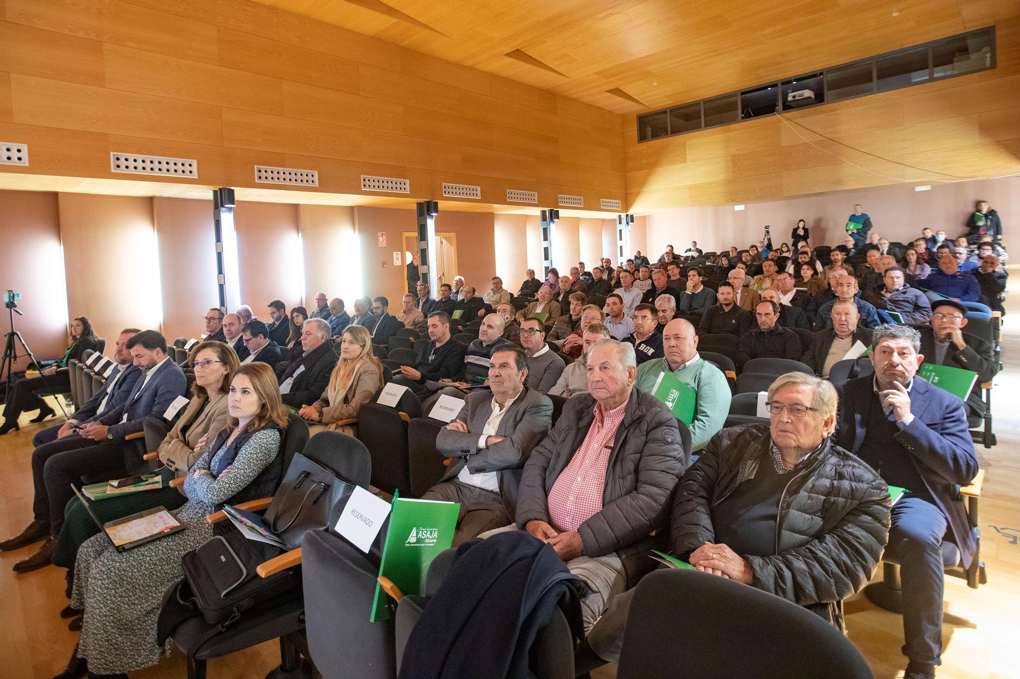 II jornada de cítricos ASAJA Alicante en la Lonja de Orihuela