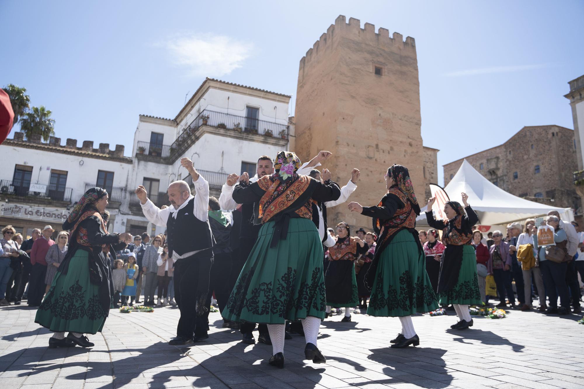 Segunda jornada del macroencuentro Jato de Cáceres