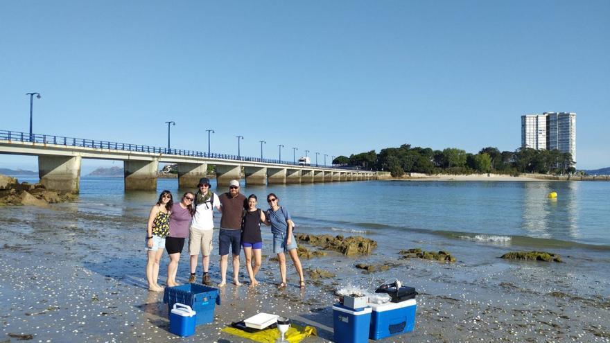 El IEO mide por primera vez el aporte de contaminantes a la Ría de Vigo a través de aguas subterráneas