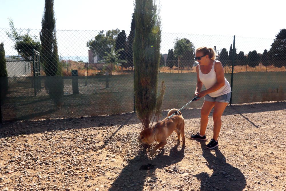 El parque canino sobre la mayor fosa común de la Guerra Civil