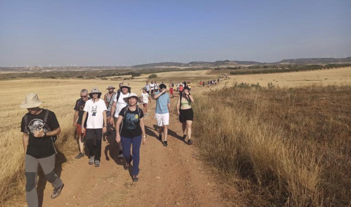 Caminata al Cabezo de San Pablo.