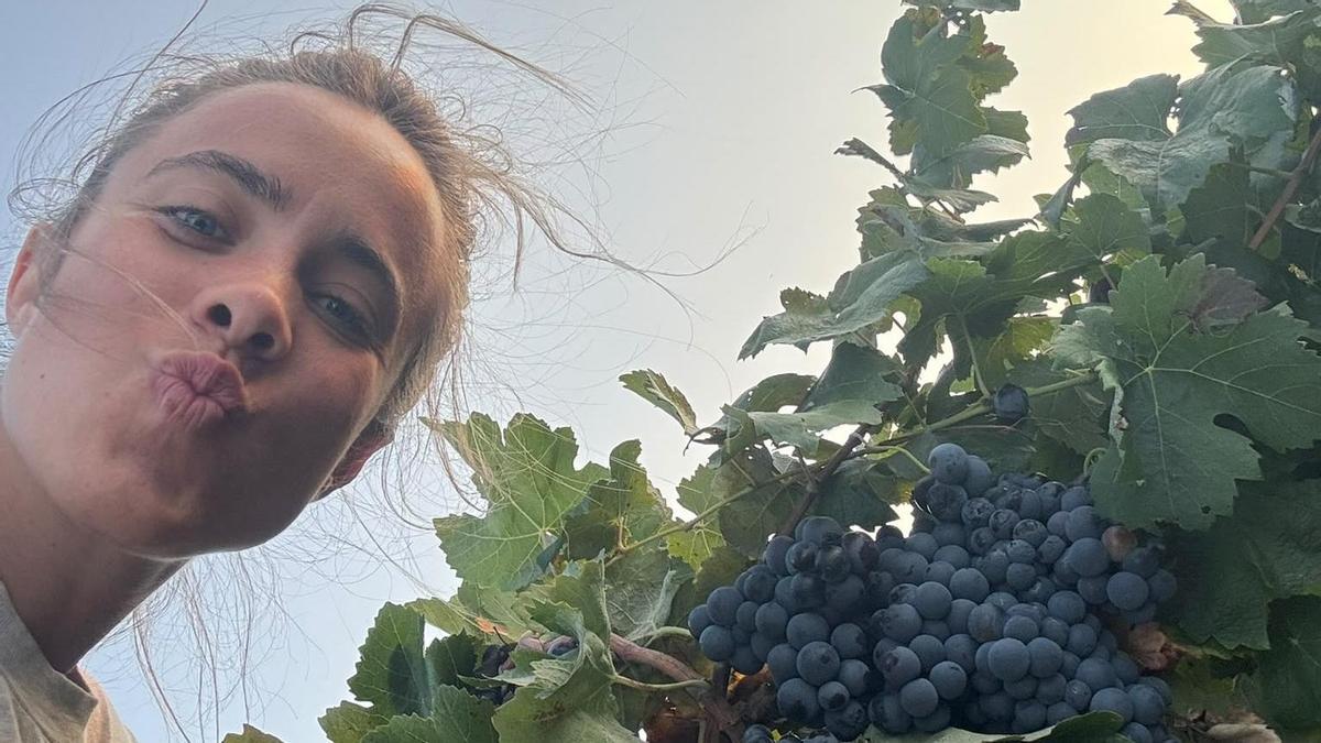 Uterra Wines impulsa la innovación en cultivos leñosos con agricultura de precisión y nuevas experiencias alrededor del viñedo