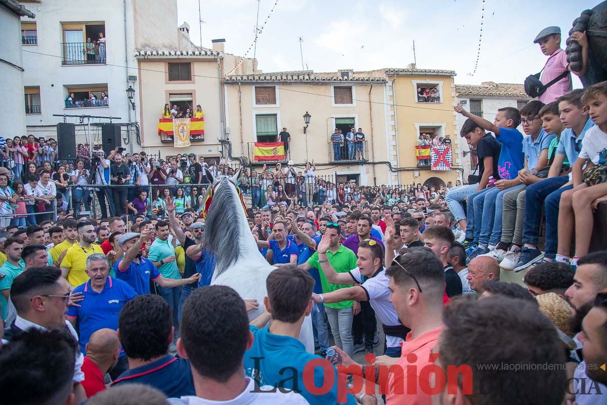 Entrega de premios del concurso morfológico de los Caballos del Vino de Caravaca