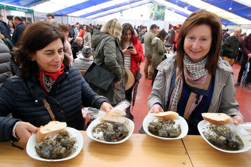 El mal tiempo resta público a la fiesta de Arbo, pero los adictos no faltan